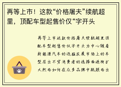 再等上市！这款“价格屠夫”续航超里，顶配车型起售价仅“字开头